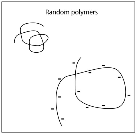 random polymers