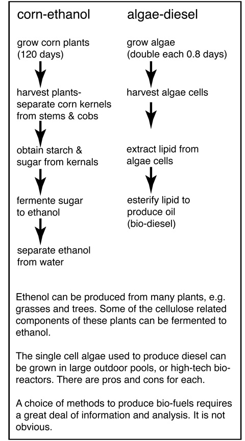 production chains for corn ethanol and algae diesel